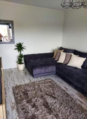 Apartment Goja *